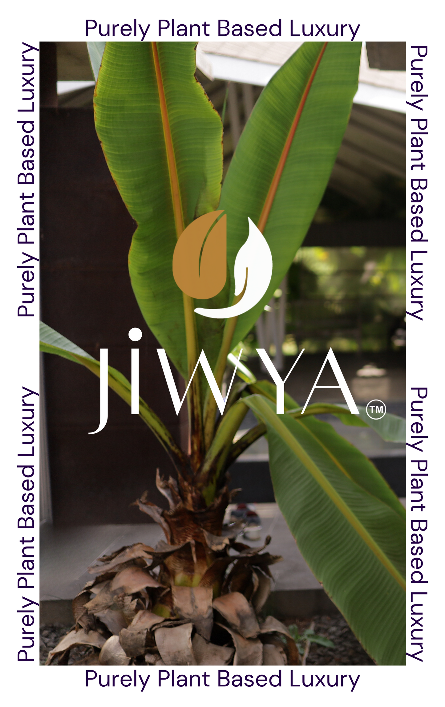 JIWYA-Gift-Card